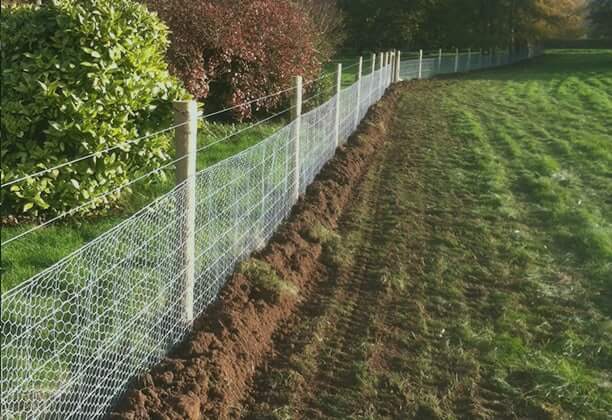 Dog proof fence outlet top