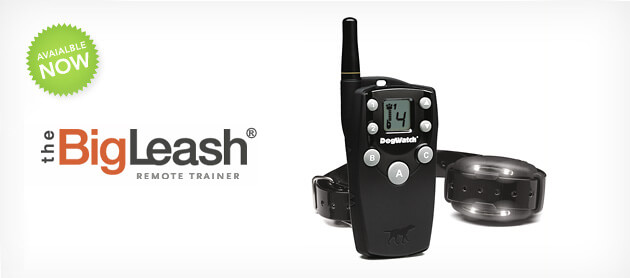 banner-big-leash