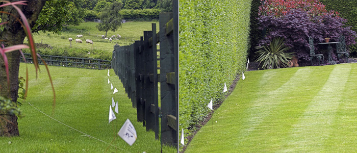 Garden boundary marked with dog fence training flags