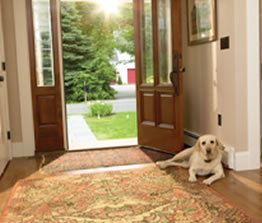 indoor01 dog lying by door protected by indoor dog fence unit - BOB