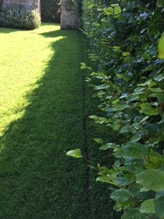 Dog fence wire buried under lawn with minimal disruption