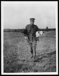 World War I Dogs DogFence