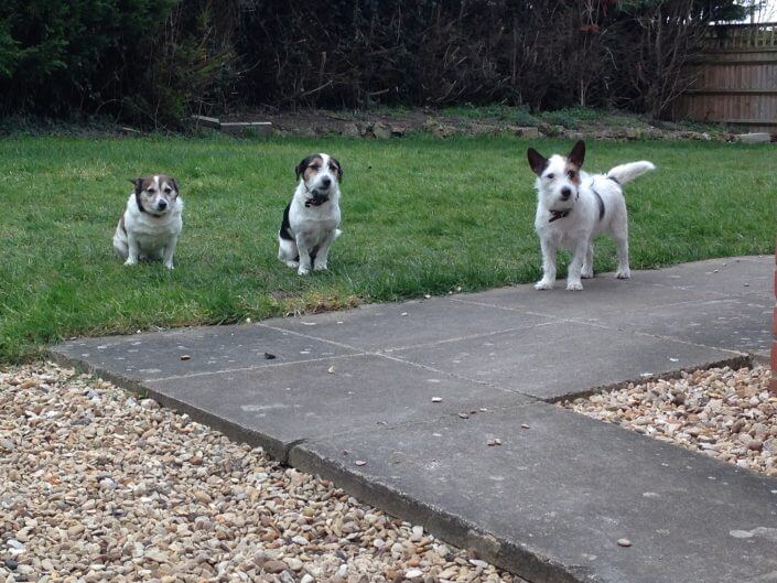 best of friends the three musketeers