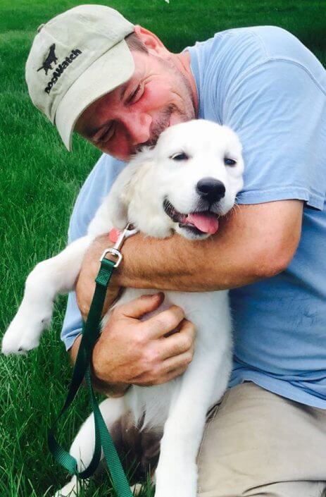 Golden retriever puppy Golden retriever puppy