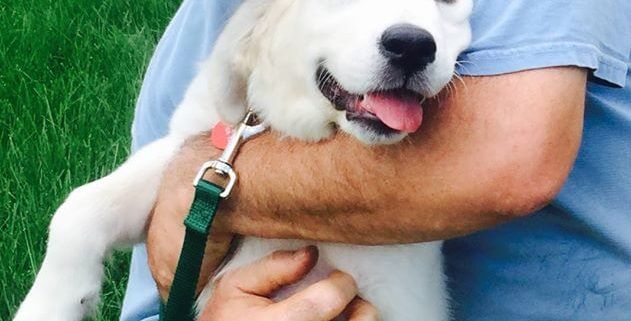 Happy owner embracing a white puppy, representing the secure and loving environment provided by a puppy electronic dog fence
