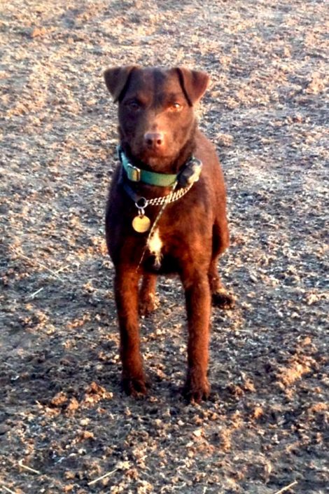Patterdale Patterdale cross