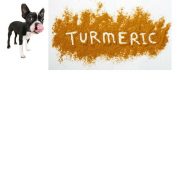 Using turmeric for dogs