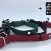 spare medium dog fence collar straps