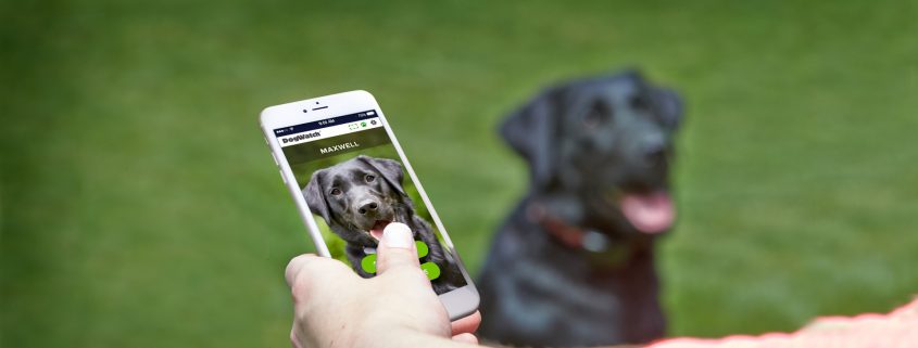 the new dog fence smart fence app