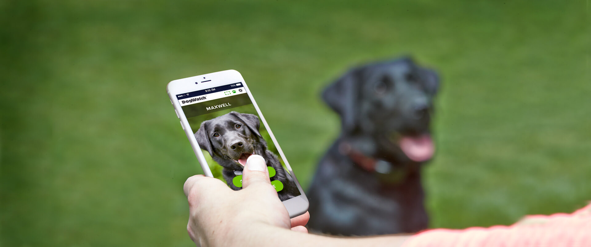 DogWatch SmartFence app monitoring a digital FM dog fence, boundary wire, power and collar battery status