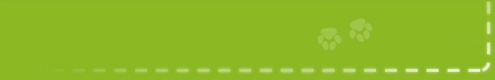 greenbar_fence_bottom