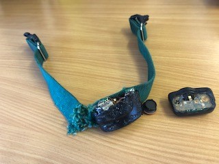 Chewed DogFence receiver collar covered under warranty.