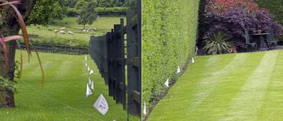 Boundary flagged with white dog fence flags for visual for dogs