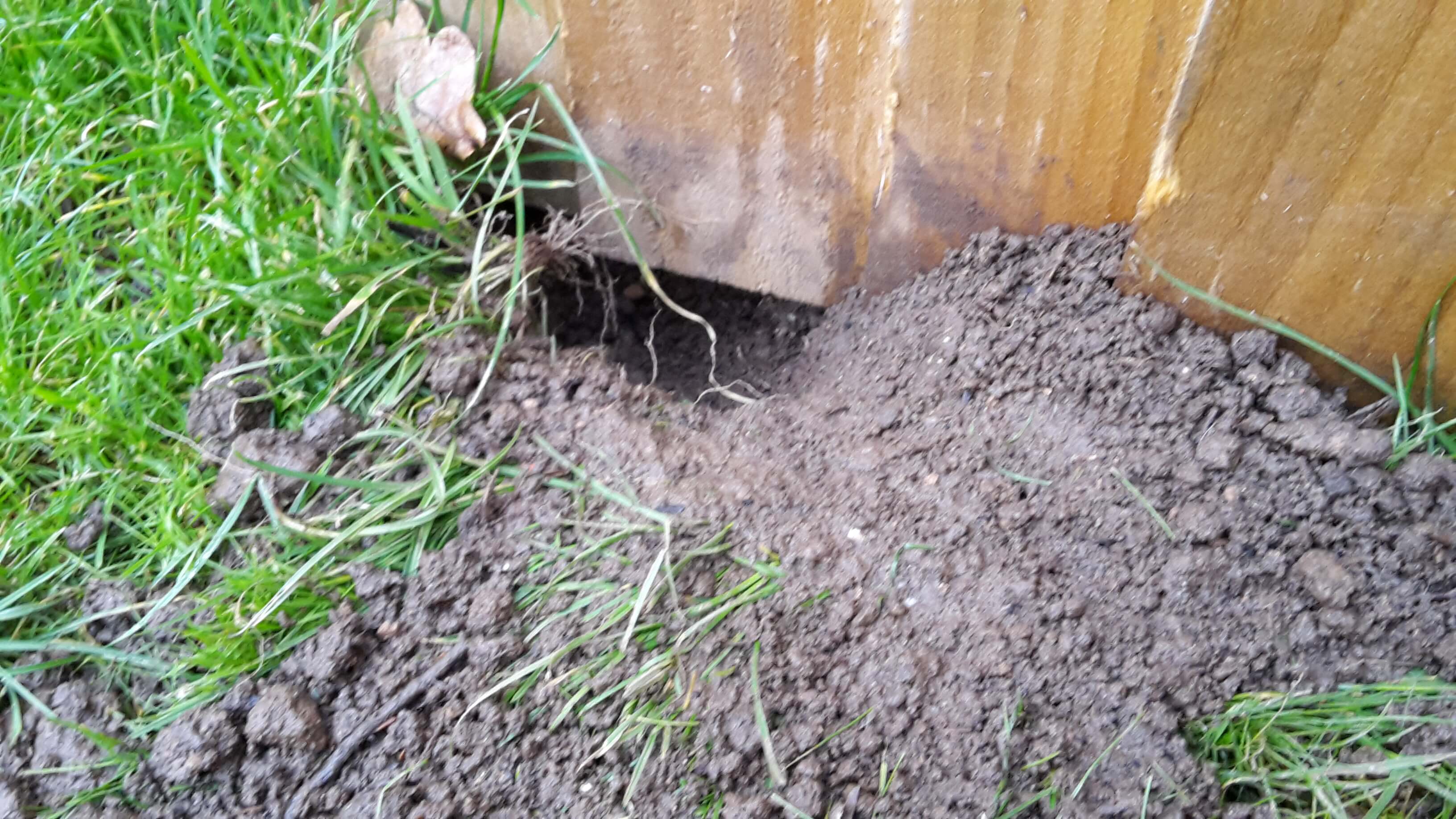 dog fencing ideas can go wrong when the dog digs under the close board fence and makes a hole!