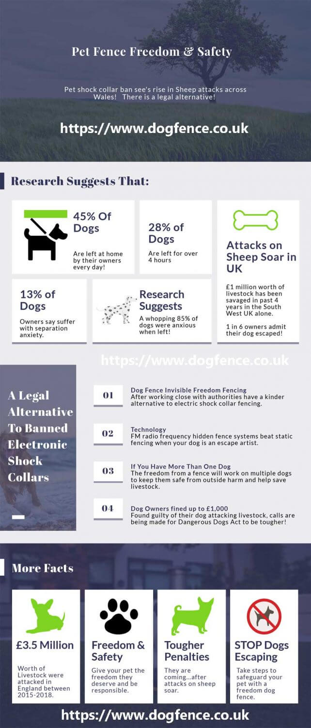 Dogs Freedom & Safety - Livestock Attacks DogFence