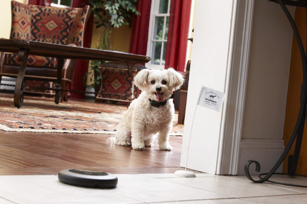 indoor electric dog fence