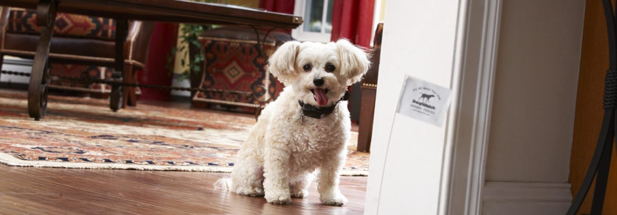 indoor dog fence excludes pets from areas