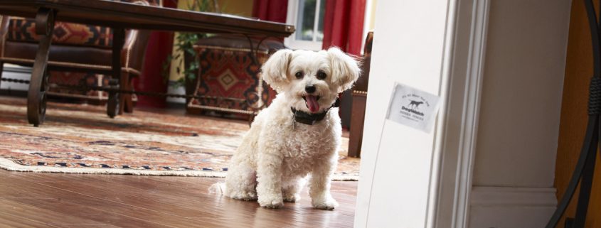 indoor dog fence excludes pets from areas