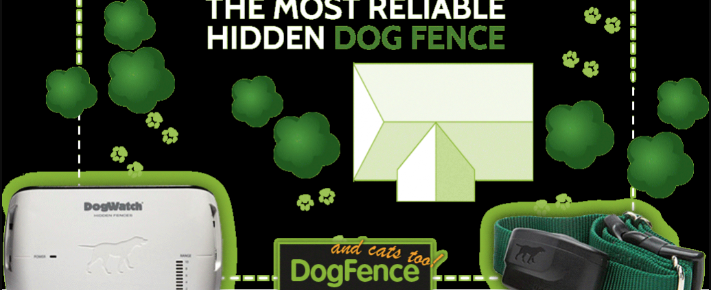 The Best Dog Fence