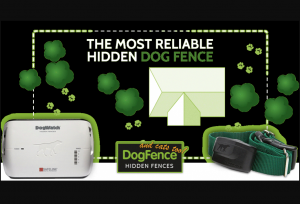 The Most Reliable Hidden DogFence