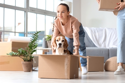 Moving house with pets