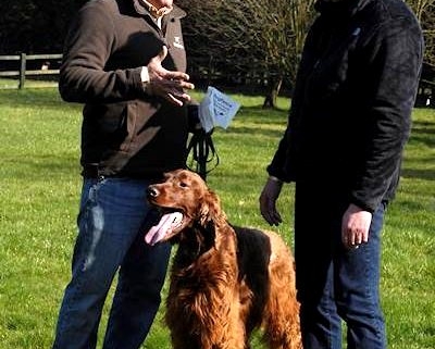 Installer giving dog fence safety tips to a customer