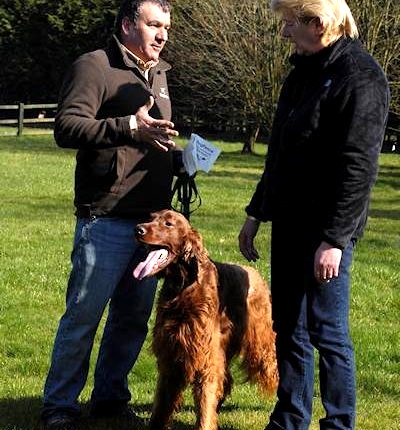 professional dog fence installation consultation with owner and trained dog in garden