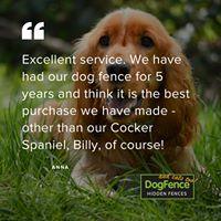 Customer testimonial praising DogFence UK for 5 years of reliable service