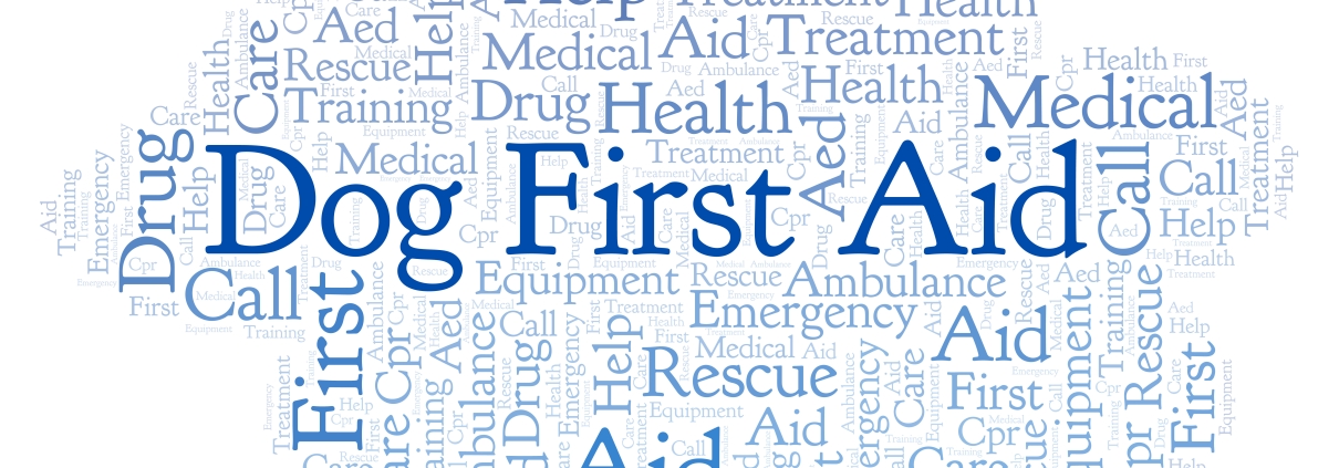 Dog first aid