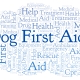 Dog first aid