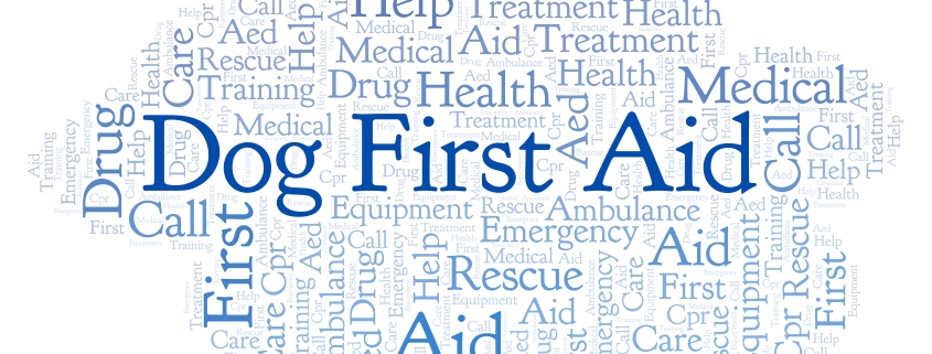 Dog first aid