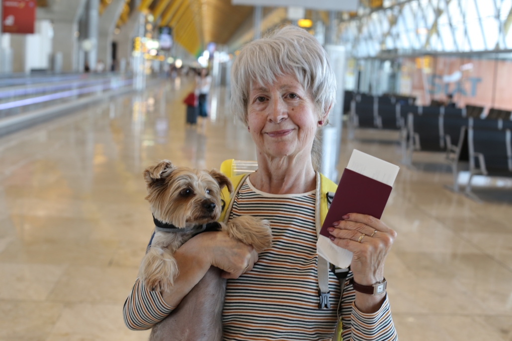 View of New Pet Travel Rules for Dogs - DogFence