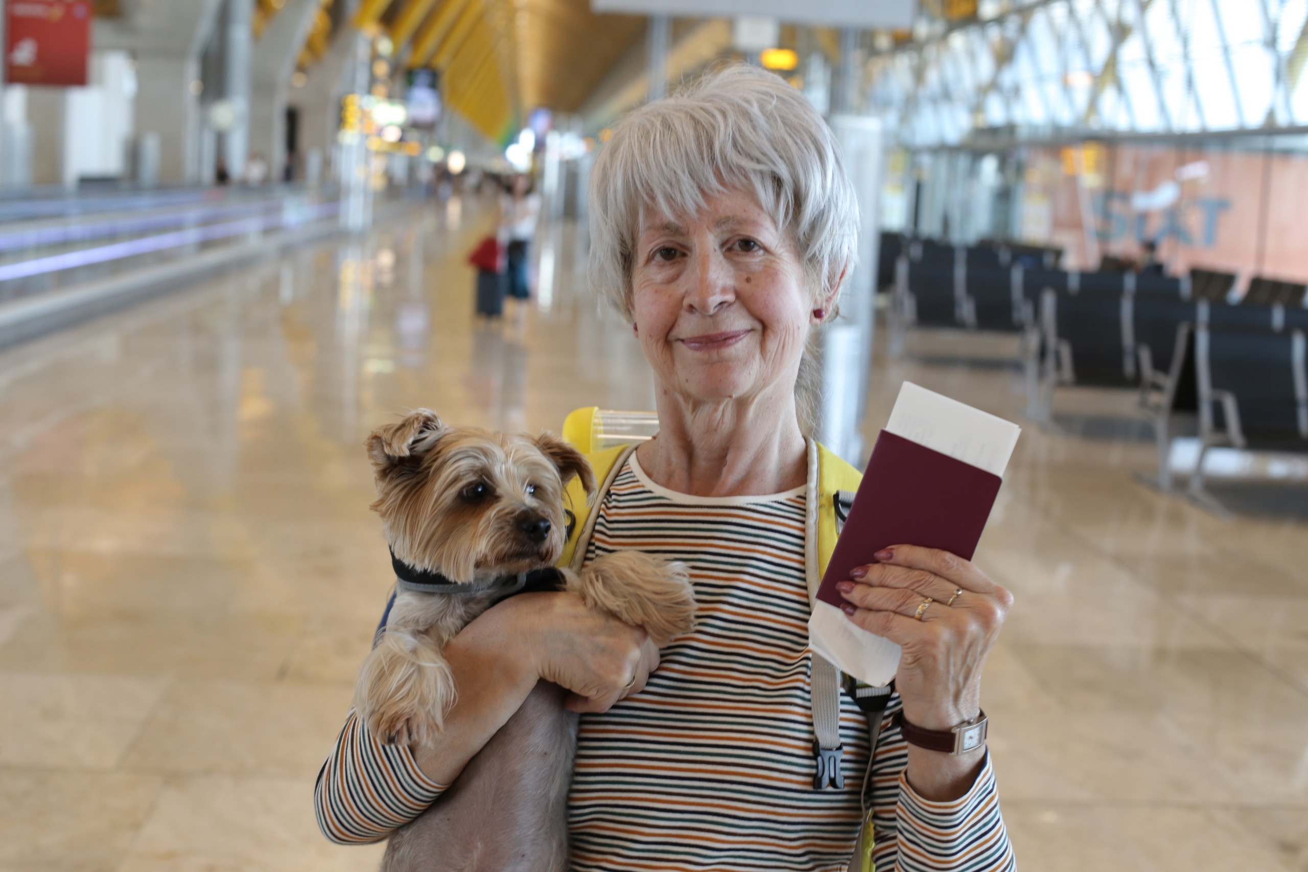 Dog owner holding pet passport complying with new Northern Ireland pet travel scheme