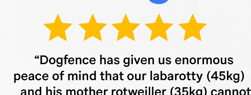 5-star Dog Fence Google review highlighting customer satisfaction with DogFence system