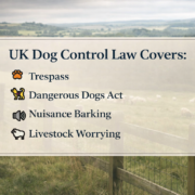Uk dog control overview Are dog fences legal in the UK overview of relevant legislation including Dangerous Dogs Act and Animals Act