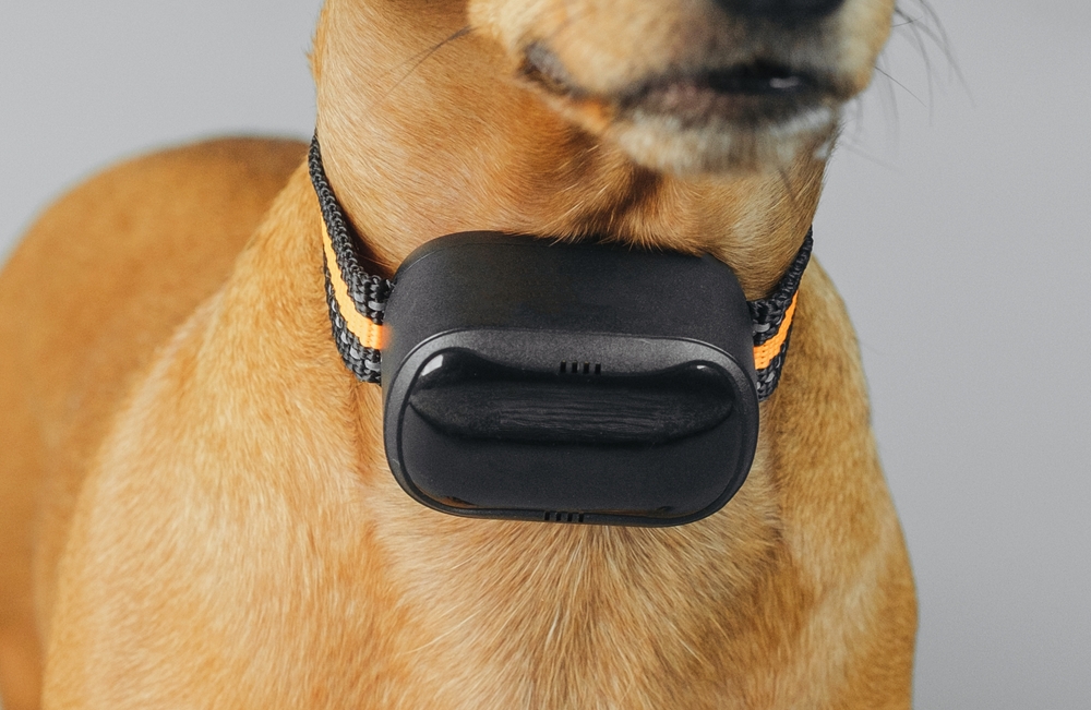 Why the best GPS dog fence may not be the best choice: bulky collars and poor battery life.