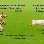 At 10mph, DogFence’s FM collar reacts in just 0.125 seconds—stopping your dog after only 1.75ft. The nearest competitor reacts in 2 seconds, allowing a 7ft run into the avoidance zone