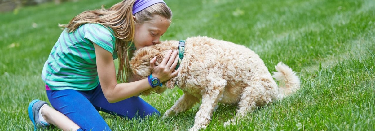 Young girl cuddling her dog in a safe garden protected by a DogFence system, showing dog fence safety for children
