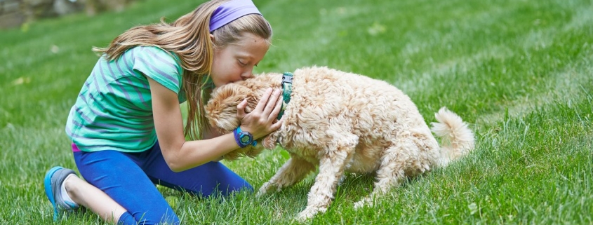 Young girl cuddling her dog in a safe garden protected by a DogFence system, showing dog fence safety for children
