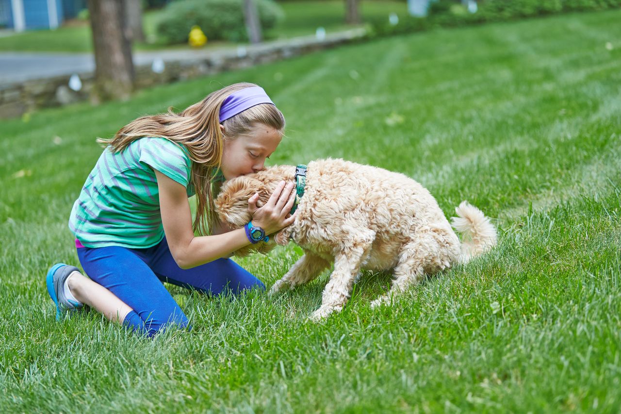 Young girl cuddling her dog in a safe garden protected by a DogFence system, showing dog fence safety for children