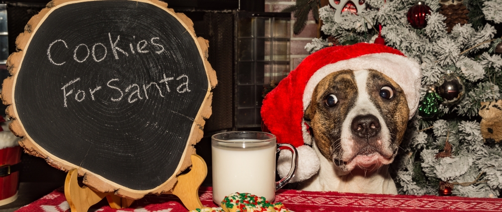 stop pets stealing Christmas food with portable pet boundary