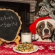 stop pets stealing Christmas food with portable pet boundary