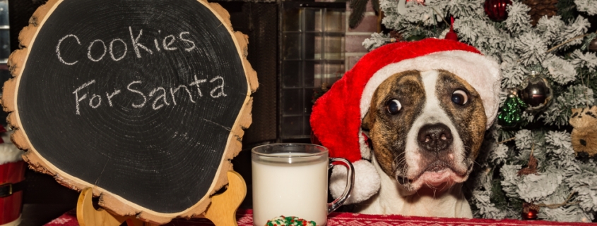 stop pets stealing Christmas food with portable pet boundary