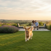 Dog Friendly Gardens UK: The Complete Guide to Safe Outdoor Spaces