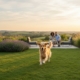 Dog Friendly Gardens UK: The Complete Guide to Safe Outdoor Spaces