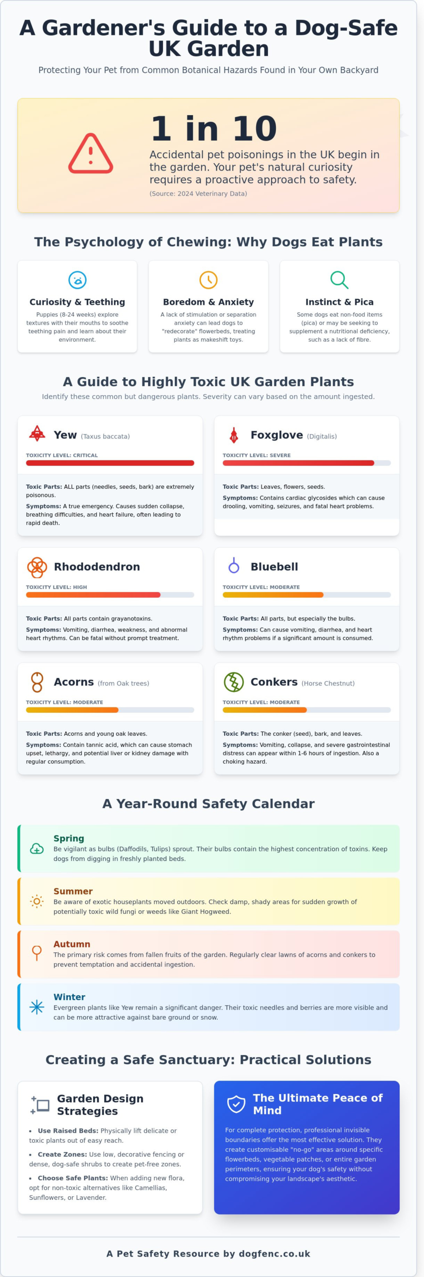 Toxic Plants for Dogs in the UK: The Complete Garden Safety Guide 2026 - Infographic