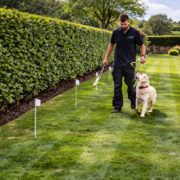 installer training dog to understand invisible dog fence boundary using training flags