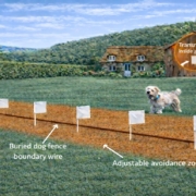 How an electronic dog fence works with buried boundary wire, training flags and adjustable avoidance zone protecting a dog in a garden