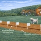 How an electronic dog fence works with buried boundary wire, training flags and adjustable avoidance zone protecting a dog in a garden