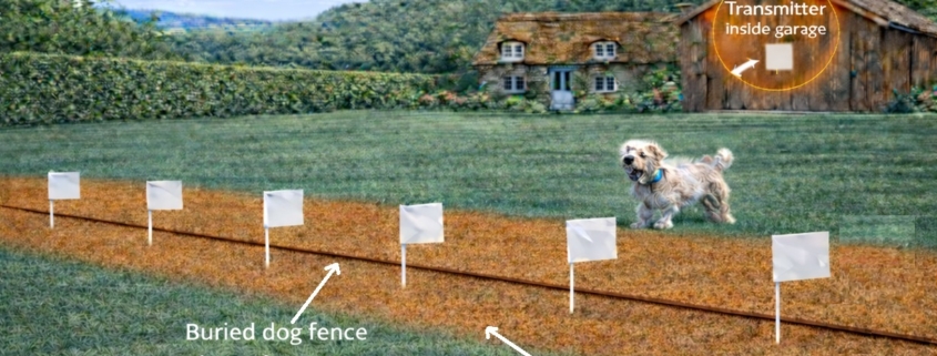 How an electronic dog fence works with buried boundary wire, training flags and adjustable avoidance zone protecting a dog in a garden